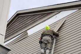 Best Historical Building Siding Restoration  in Lancaster, KY